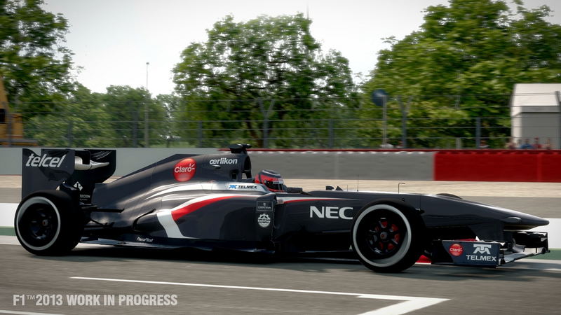 F1 2013 image 9