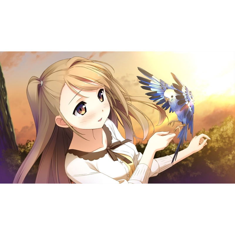 Your Diary + image 5