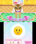 Wan Nyan Pet Shop thumbnail 5