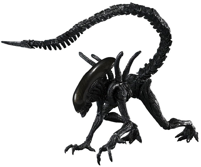 S.H.MonstertArts Alien vs. Predator Pre-Painted Figure: Alien Warrior image 1