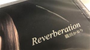 Reverberation (Damaged Case)