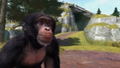 Zoo Tycoon thumbnail 7