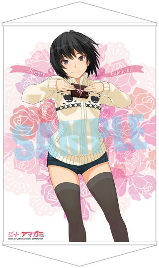 Ebikore + Amagami [Famitsu DX Pack] image 3