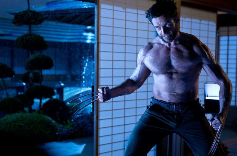 The Wolverine image 3
