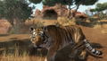 Zoo Tycoon thumbnail 8