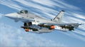 Eurofighter Typhoon for FSX (DVD-ROM) thumbnail 2