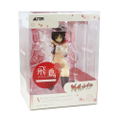 Senran Kagura: Asuka Inochigake Ver. thumbnail 12