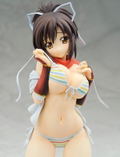 Senran Kagura: Asuka Inochigake Ver. thumbnail 10