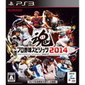 Pro Yakyuu Spirits 2014 thumbnail 1