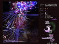 Touhou Eiyashou: Imperishable Night thumbnail 2