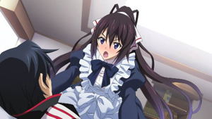 Infinite Stratos 2: Ignition Hearts [Famitsu DX Pack]