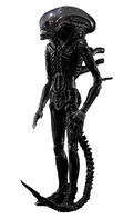 S.H.MonstertArts Alien: Big Chap thumbnail 1