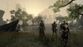 The Elder Scrolls Online: Tamriel Unlimited (Imperial Edition) thumbnail 13