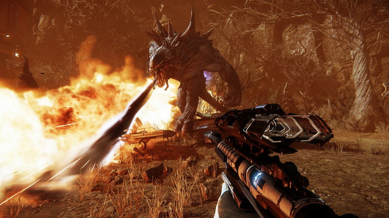Evolve image 4