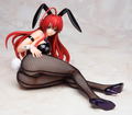 High School DxD New: Rias Gremory Bunny Ver. thumbnail 2