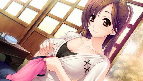 Motto Ane Chanto Shiyouyo +Plus image 3