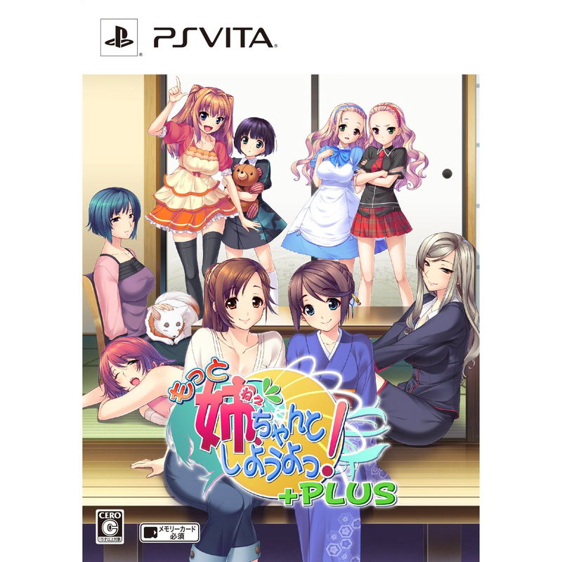 Motto Ane Chanto Shiyouyo +Plus [Limited Edition] image 1