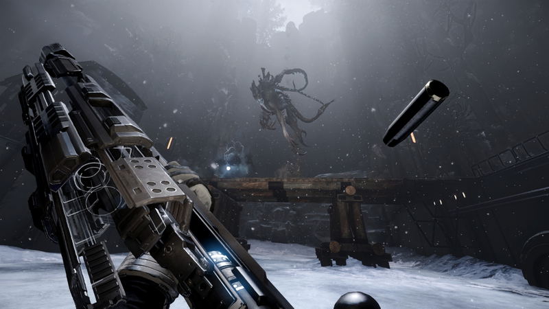 Evolve image 10