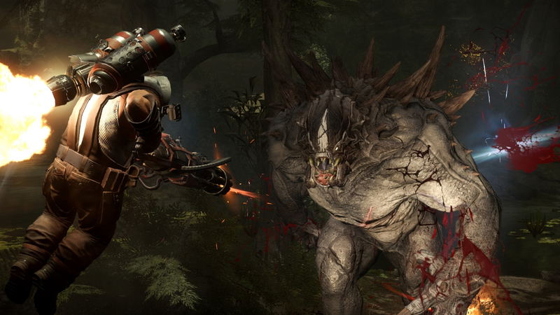 Evolve image 12