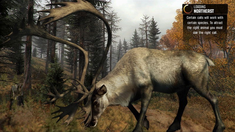 Cabela's Big Game Hunter: Pro Hunts image 2