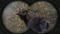 Cabela's Big Game Hunter: Pro Hunts thumbnail 6