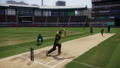 Don Bradman Cricket 14 (DVD-ROM) thumbnail 4