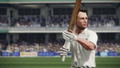 Don Bradman Cricket 14 (DVD-ROM) thumbnail 5