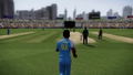 Don Bradman Cricket 14 (DVD-ROM) thumbnail 7