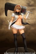 Hyakka Ryoran Samurai Bride: Araki Mataemon thumbnail 1