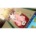 Sengoku Hime 4: Souha Hyakkei Hanamamoru Chikai thumbnail 7