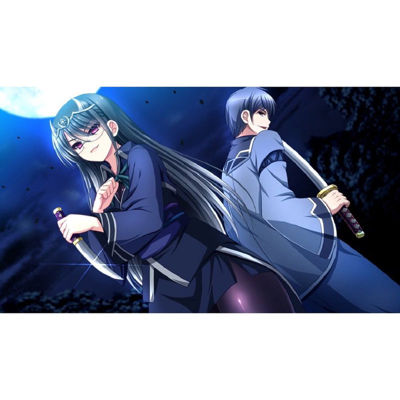 Sengoku Hime 4: Souha Hyakkei Hanamamoru Chikai [Luxury Limited Edition] image 5