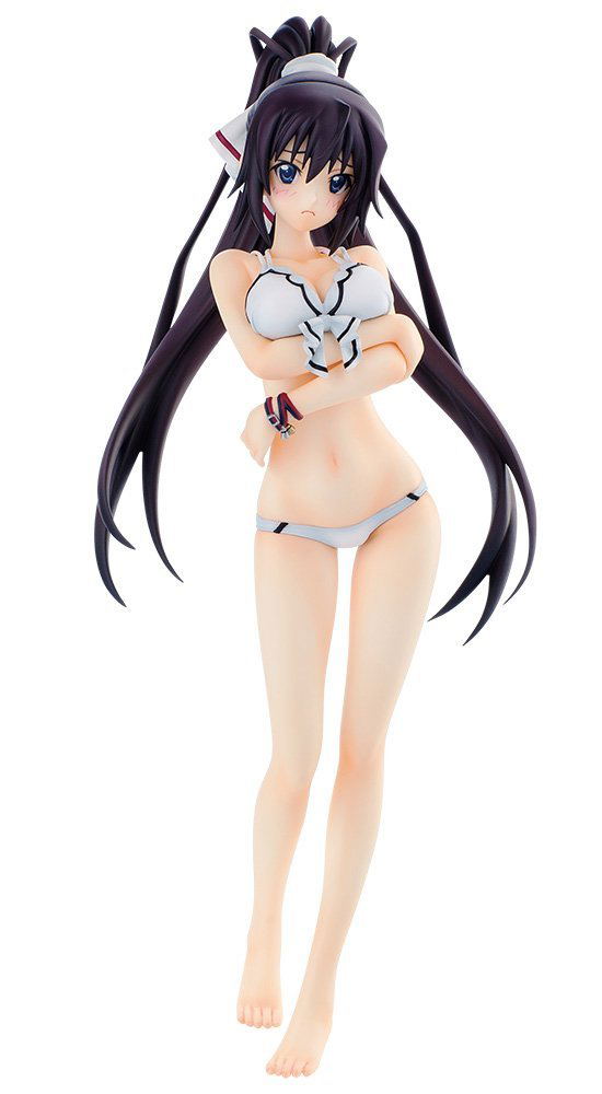 IS (Infinite Stratos): Houki Shinonono Swimsuit Ver. image 1