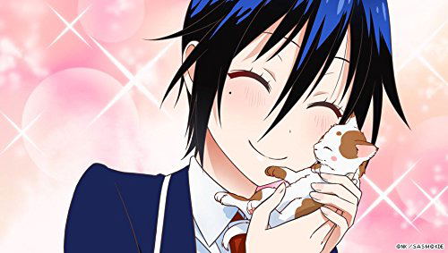 Nisekoi Yomeiri !? image 4
