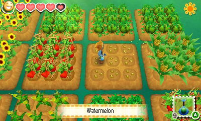 Story of Seasons image 2