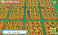 Story of Seasons thumbnail 6