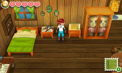 Story of Seasons image 15