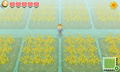 Story of Seasons thumbnail 12