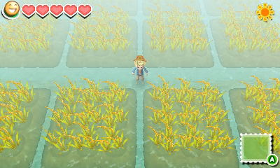 Story of Seasons image 12