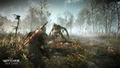 The Witcher 3: Wild Hunt (Collector's Edition) (DVD-ROM) thumbnail 8