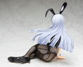 IS (Infinite Stratos): Laura Bodewig Bunny Ver. thumbnail 4