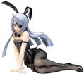 IS (Infinite Stratos): Laura Bodewig Bunny Ver. thumbnail 1