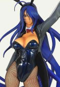 Ikki Tousen Shuugaku Toushi Keppuroku: Kanu Uncho Bunny Ver. thumbnail 4
