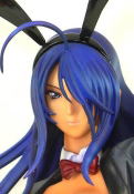 Ikki Tousen Shuugaku Toushi Keppuroku: Kanu Uncho Bunny Ver. thumbnail 5