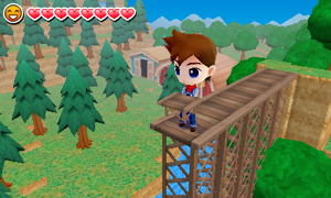 Harvest Moon 3D: The Lost Valley