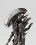 SCI-FI Revoltech Series No.001 Alien: Alien -Renewal Package- (Re-Run) thumbnail 5