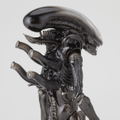 SCI-FI Revoltech Series No.001 Alien: Alien -Renewal Package- (Re-Run) thumbnail 6