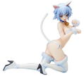 IS (Infinite Stratos): Tatenashi Sarashiki Cat Ver. thumbnail 1
