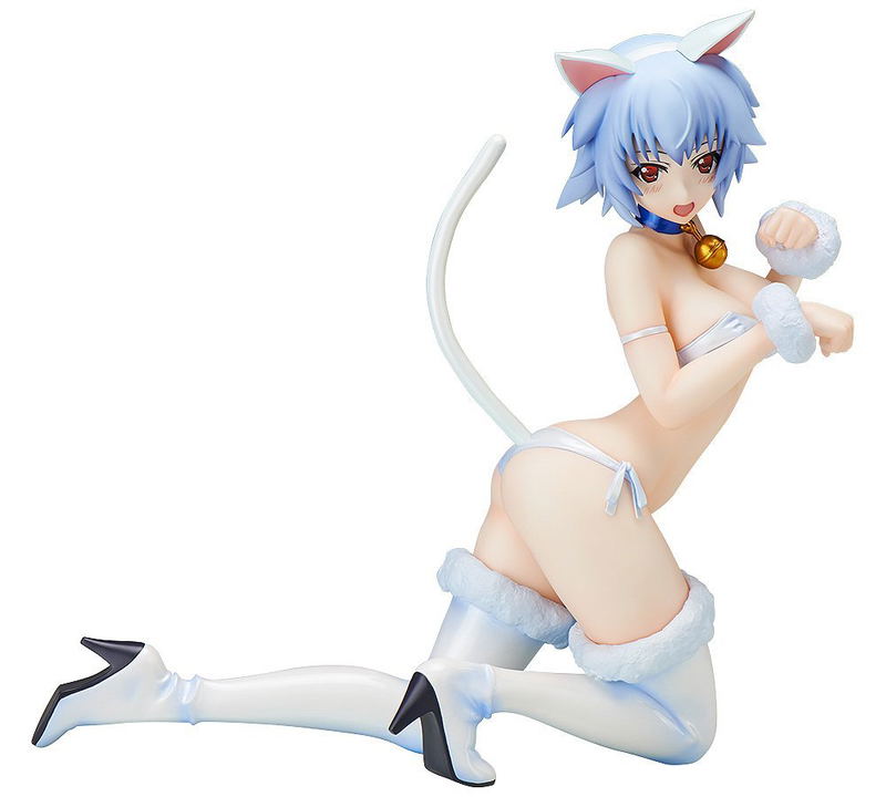 IS (Infinite Stratos): Tatenashi Sarashiki Cat Ver. image 1