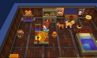 Fantasy Life image 8