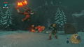 The Legend of Zelda: Breath of the Wild thumbnail 11